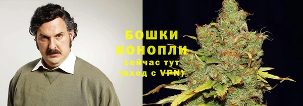 мяу мяу мука Беломорск