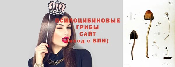 мяу мяу мука Белокуриха