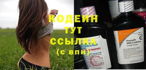 мяу мяу мука Белокуриха