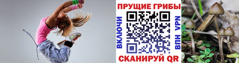 Галлюциногенные грибы мицелий Цоци-Юрт