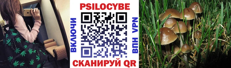 купить  сайты  Цоци-Юрт  Псилоцибиновые грибы Magic Shrooms 